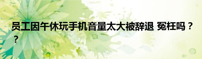 员工因午休玩手机音量太大被辞退 冤枉吗？？