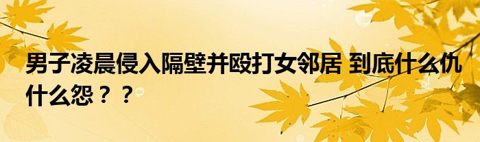 男子凌晨侵入隔壁并殴打女邻居 到底什么仇什么怨？？