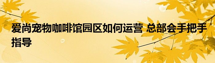 爱尚宠物咖啡馆园区如何运营 总部会手把手指导