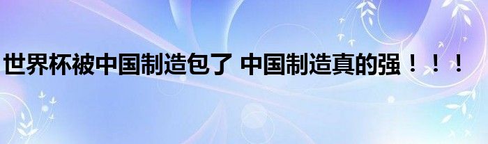 世界杯被中国制造包了 中国制造真的强！！！