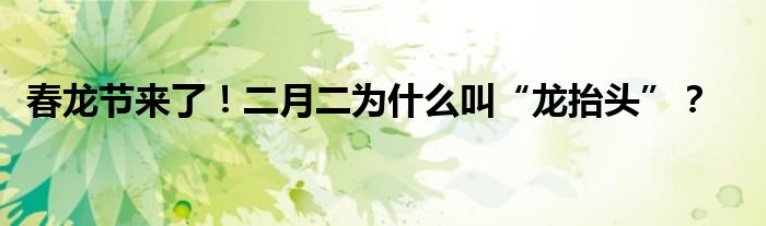 春龙节来了！二月二为什么叫“龙抬头”？