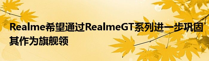  Realme希望通过RealmeGT系列进一步巩固其作为旗舰领