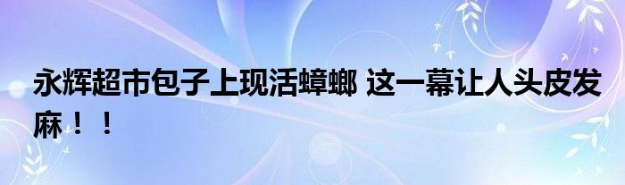 永辉超市包子上现活蟑螂 这一幕让人头皮发麻！！