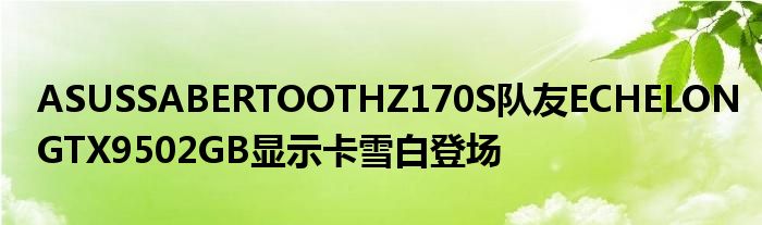 ASUSSABERTOOTHZ170S队友ECHELONGTX9502GB显示卡雪白登场