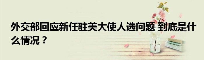 外交部回应新任驻美大使人选问题 到底是什么情况？