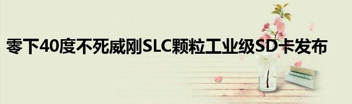 零下40度不死威刚SLC颗粒工业级SD卡发布