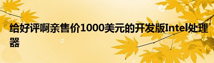 给好评啊亲售价1000美元的开发版Intel处理器