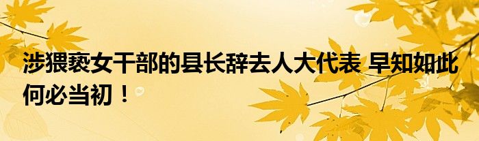  涉猥亵女干部的县长辞去人大代表 早知如此 何必当初！