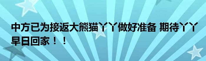 中方已为接返大熊猫丫丫做好准备 期待丫丫早日回家！！