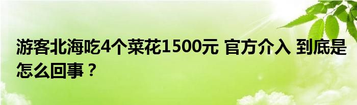 游客北海吃4个菜花1500元 官方介入 到底是怎么回事？