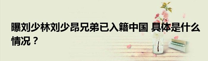 曝刘少林刘少昂兄弟已入籍中国 具体是什么情况？