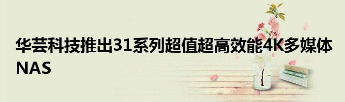 华芸科技推出31系列超值超高效能4K多媒体NAS