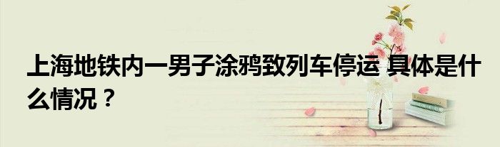 上海地铁内一男子涂鸦致列车停运 具体是什么情况？