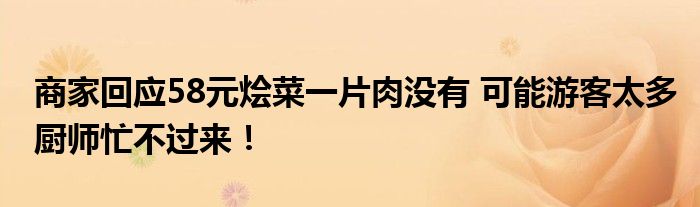 商家回应58元烩菜一片肉没有 可能游客太多厨师忙不过来！