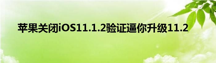 苹果关闭iOS11.1.2验证逼你升级11.2