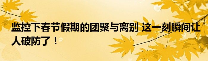监控下春节假期的团聚与离别 这一刻瞬间让人破防了！