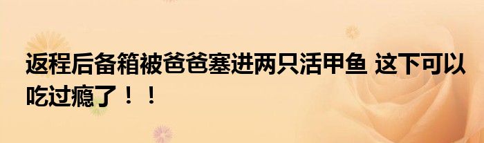 返程后备箱被爸爸塞进两只活甲鱼 这下可以吃过瘾了！！