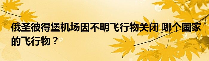 俄圣彼得堡机场因不明飞行物关闭 哪个国家的飞行物？