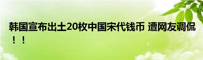 韩国宣布出土20枚中国宋代钱币 遭网友调侃！！