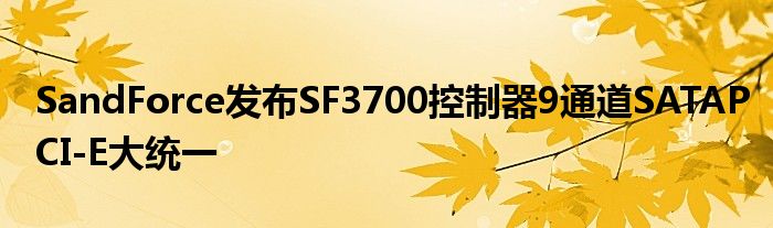 SandForce发布SF3700控制器9通道SATAPCI
