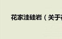 花家洼硅岩（关于花家洼硅岩的简介）