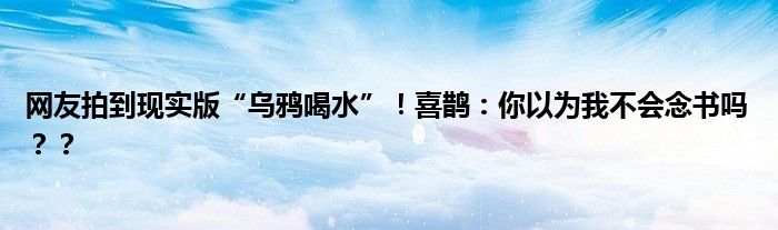 网友拍到现实版“乌鸦喝水”！喜鹊：你以为我不会念书吗？？