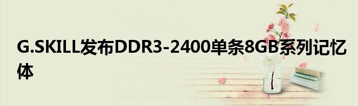 G.SKILL发布DDR3