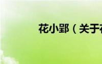 花小郢（关于花小郢的简介）