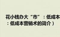 花小钱办大“市”：低成本营销术（关于花小钱办大“市”：低成本营销术的简介）