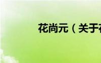 花尚元（关于花尚元的简介）