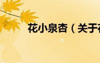 花小泉杏（关于花小泉杏的简介）