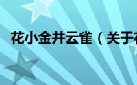 花小金井云雀（关于花小金井云雀的简介）