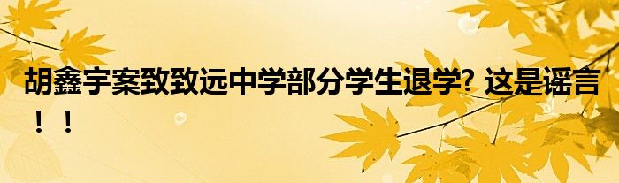 胡鑫宇案致致远中学部分学生退学? 这是谣言！！