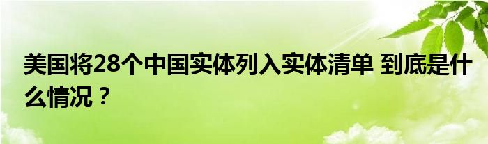 美国将28个中国实体列入实体清单 到底是什么情况？