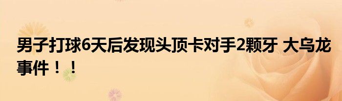 男子打球6天后发现头顶卡对手2颗牙 大乌龙事件！！