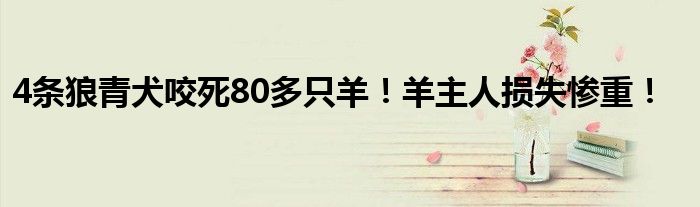 4条狼青犬咬死80多只羊！羊主人损失惨重！