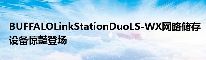 BUFFALOLinkStationDuoLS