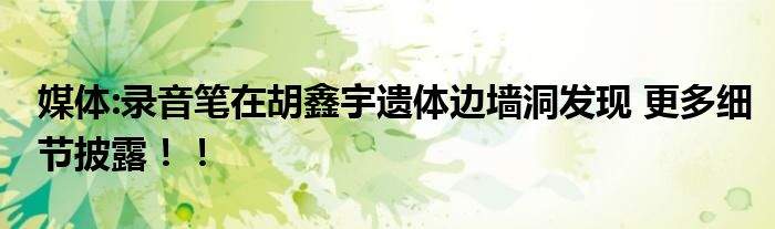 媒体:录音笔在胡鑫宇遗体边墙洞发现 更多细节披露！！
