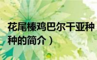 花尾榛鸡巴尔干亚种（关于花尾榛鸡巴尔干亚种的简介）