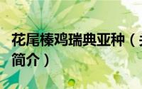 花尾榛鸡瑞典亚种（关于花尾榛鸡瑞典亚种的简介）