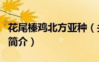花尾榛鸡北方亚种（关于花尾榛鸡北方亚种的简介）