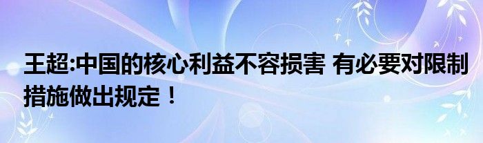 王超:中国的核心利益不容损害 有必要对限制措施做出规定！