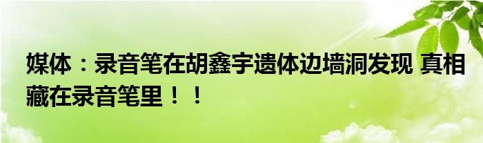 媒体：录音笔在胡鑫宇遗体边墙洞发现 真相藏在录音笔里！！