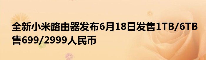 全新小米路由器发布6月18日发售1TB/6TB售699/2999人民币