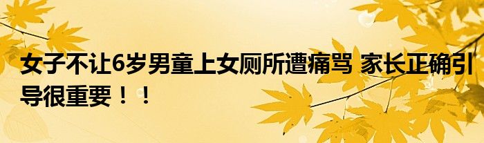 女子不让6岁男童上女厕所遭痛骂 家长正确引导很重要！！