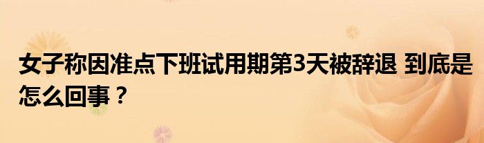 女子称因准点下班试用期第3天被辞退 到底是怎么回事？
