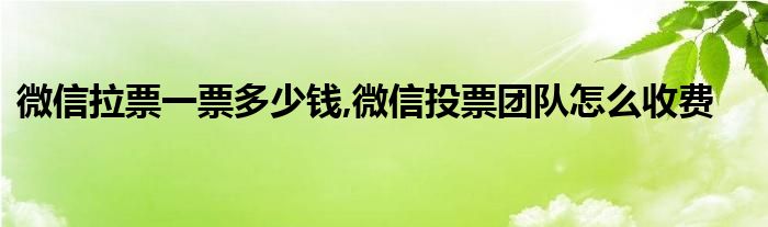 微信拉票一票多少钱,微信投票团队怎么收费