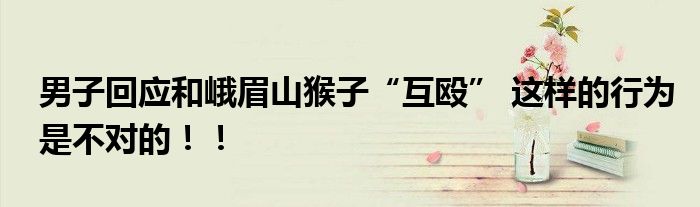 男子回应和峨眉山猴子“互殴” 这样的行为是不对的！！