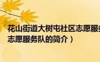 花山街道大树屯社区志愿服务队（关于花山街道大树屯社区志愿服务队的简介）