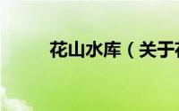 花山水库（关于花山水库的简介）